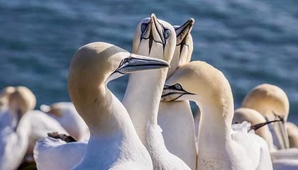 leyu乐鱼体育综合-弗赖堡球队遭遇连败，危险区域积分严重不足，弗赖堡队主客场球衣