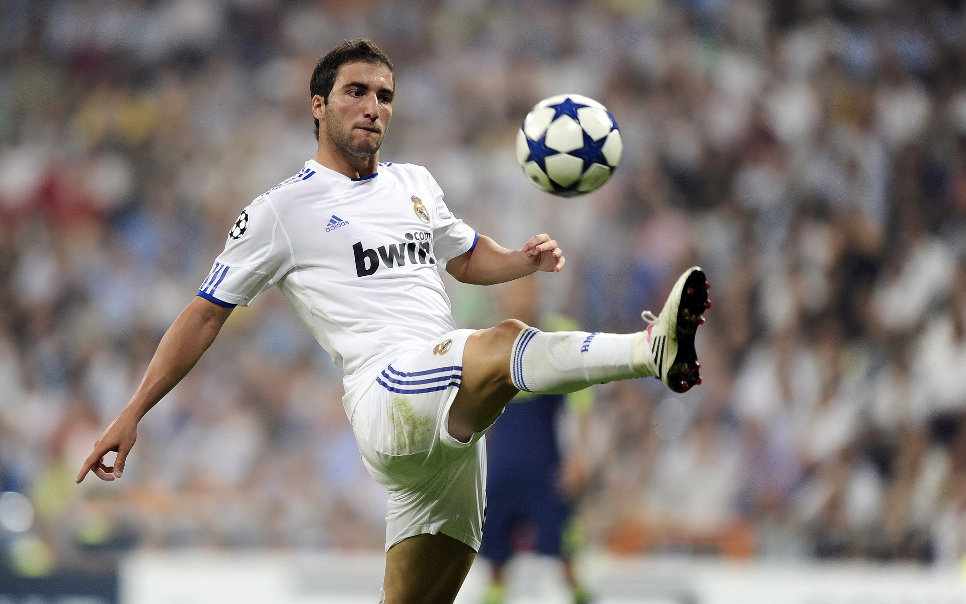 Leyu Sport登录入口-“华金·托比利亚的防守技艺与领导能力，成就美洲狮队的核心防线”